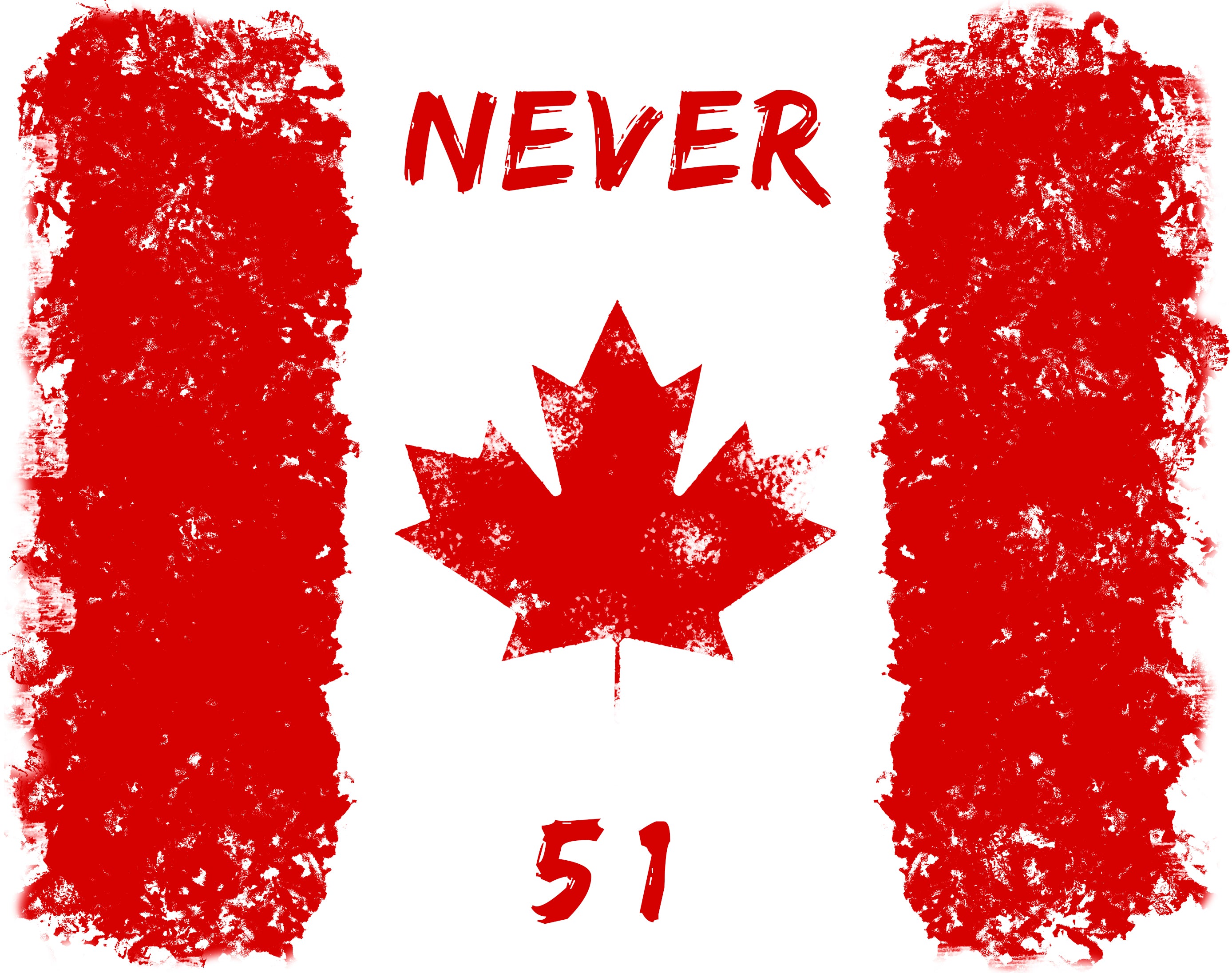 NEVER 51 HOODIE