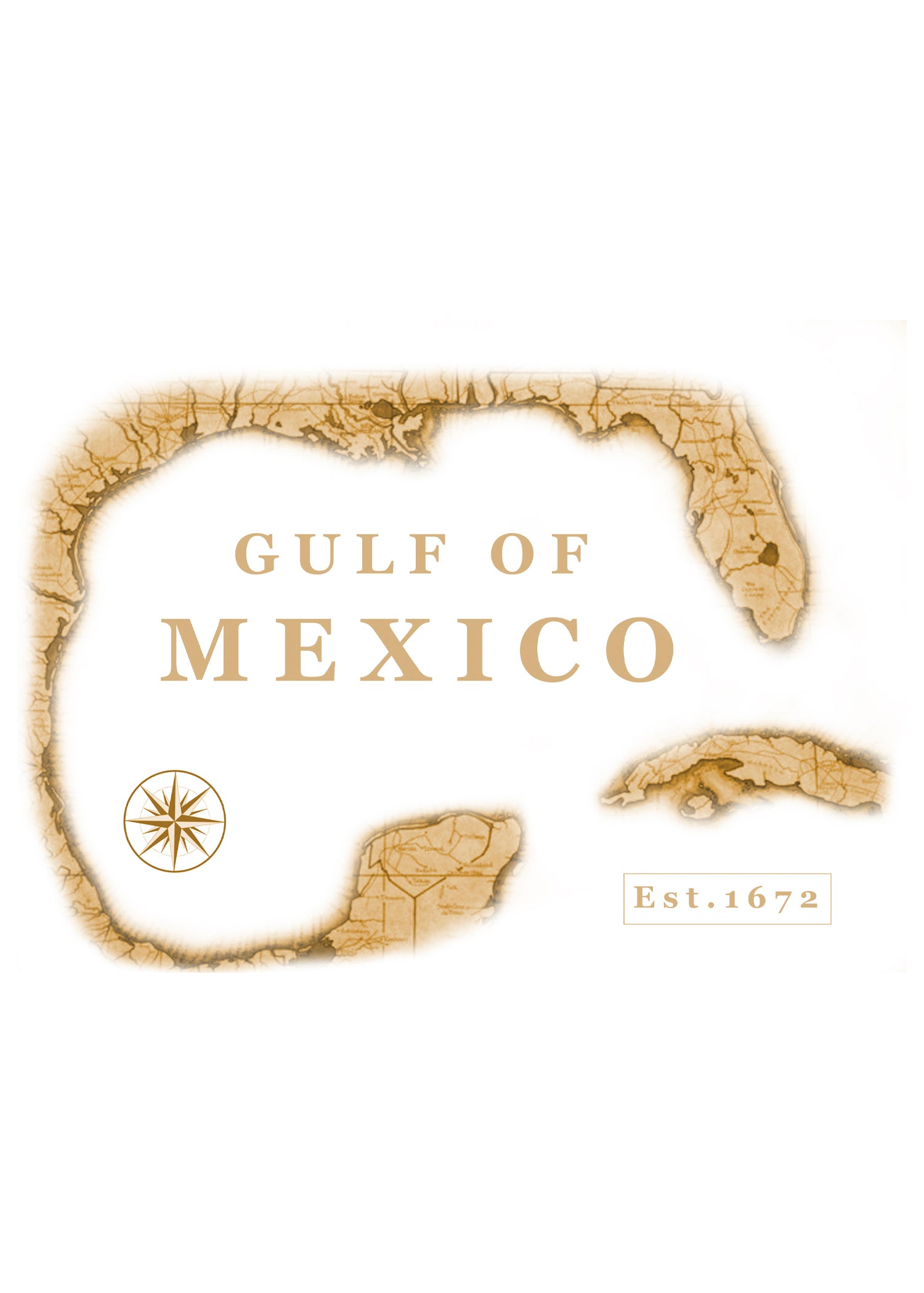 GULF OF MEXICO T-SHIRT