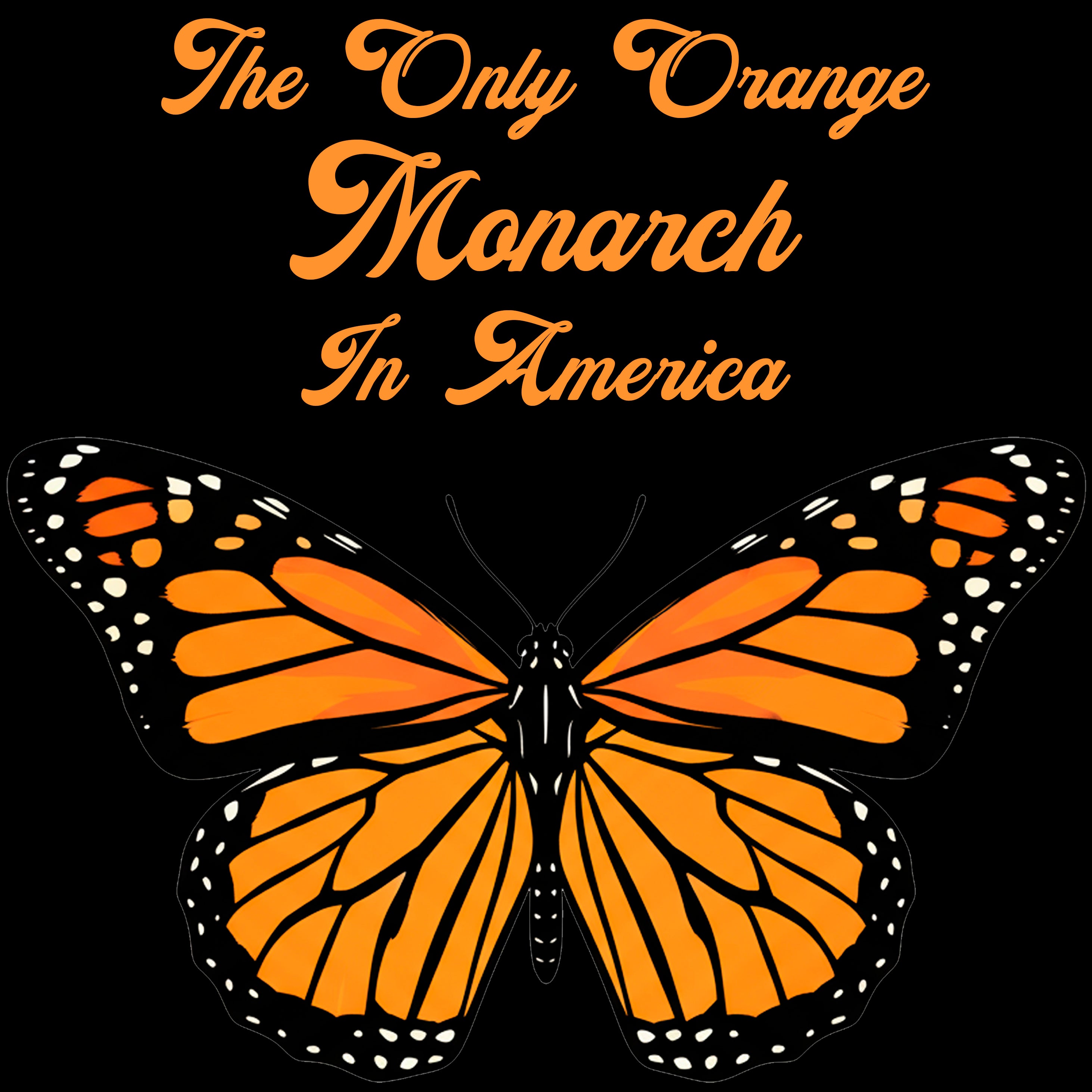 MONARCH BUTTERFLY  HOODIE
