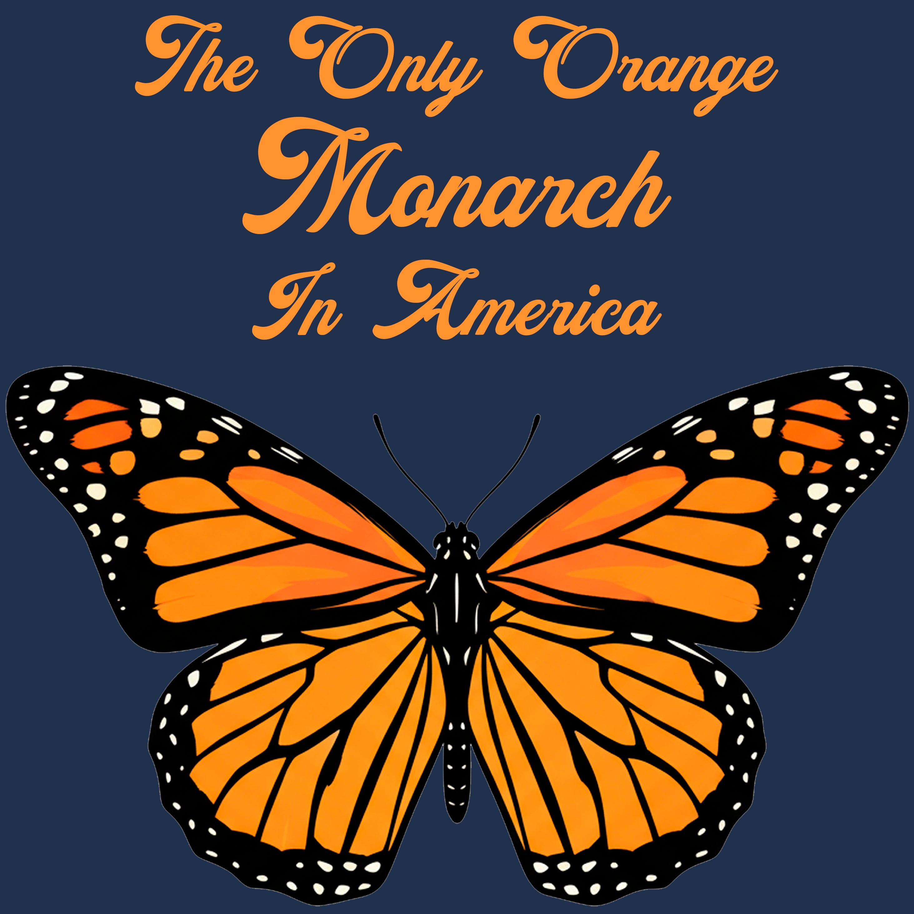 Orange butterfly with text 'The Only Orange Monarch In America' on a dark blue background